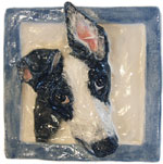 Click here for larger picture!