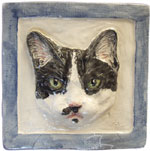 Click here to see more shorthair cats!