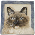 Click here to see more longhair cats!