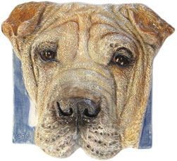 click here to see many more dogs!