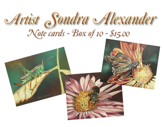 ~CLICK HERE FOR GALLERY PAGE~