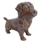 Click here to see Norfolk Terrier Bronze!