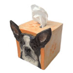 Click here to see Tissue Box Covers!