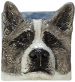 Imagine your dog painted on this tile!